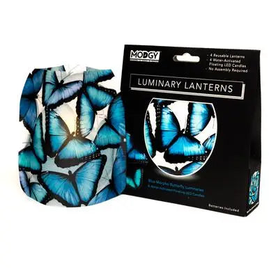 Modgy Luminaries