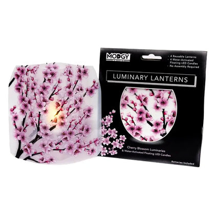 Modgy Luminaries
