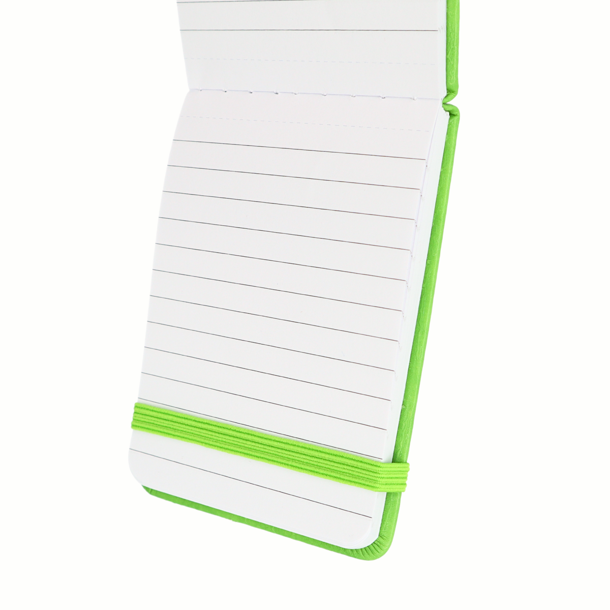 'Shit Show University' Mini Journal