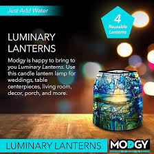 Modgy Luminaries